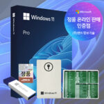 MS 윈도우11 프로 FPP